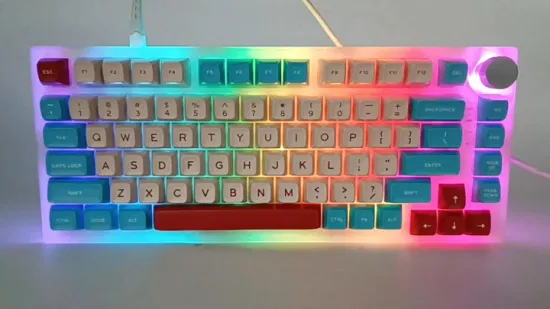 Hot-Swap-fähige Tastatur mit RGB-Hintergrundbeleuchtung, PBT-Tastenkappen, vollständige Tasten